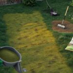 Frühlingsschock für den Rasen: diese Grünfläche ruinieren viele mit Dünger